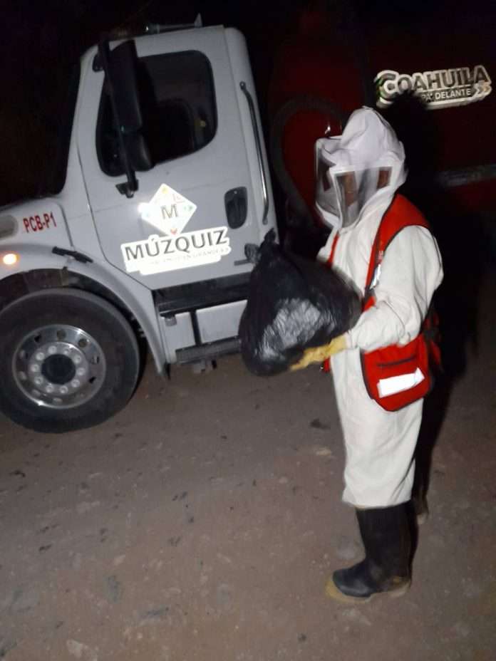 Bomberos de Múzquiz reubican enjambre de abejas del barrio La Piedra