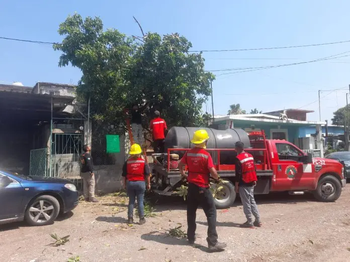 Autoridades municipales de Múzquiz atienden árboles caídos y daños en casas y escuelas tras fuerte tormenta