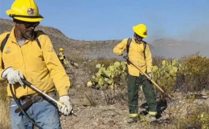 Autoridades federales, estatales y municipales combaten incendio forestal en Rancho Las Huertas, Múzquiz