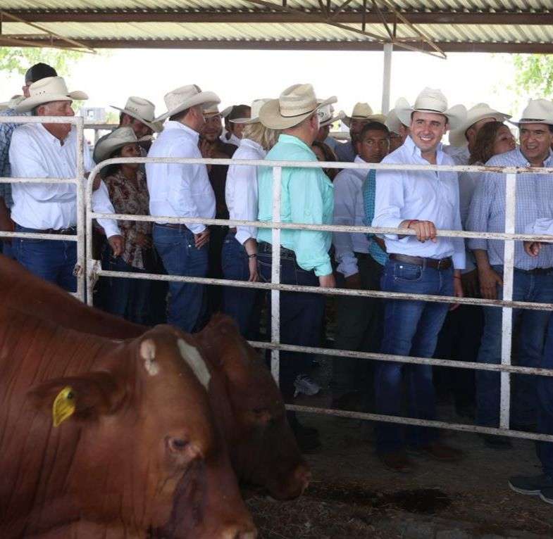 Entrega Manolo Jiménez 400 toros a productores de Coahuila