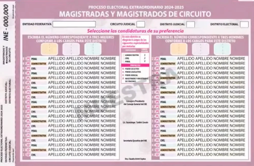 Guía para las elecciones judiciales 2025: Boletas, casillas y candidatos