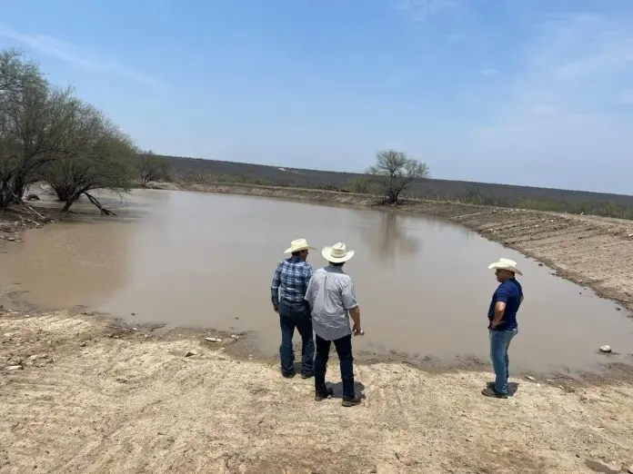 Precipitaciones beneficiaron al campo sabinense
