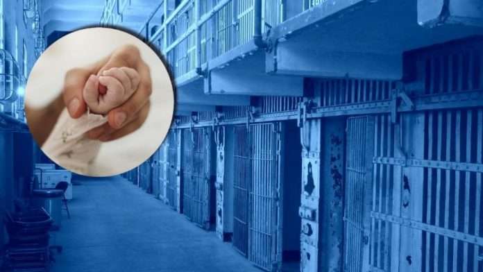 Fiscalía propone no castigar a madre que atropelló a su hijo por accidente