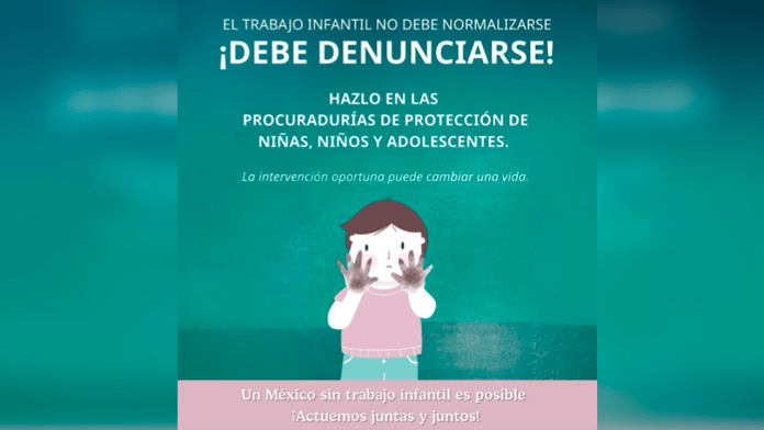 Censia pide denunciar el trabajo infantil en condiciones peligrosas