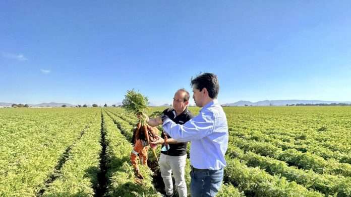 FOCIR impulsa el desarrollo rural con financiamiento estratégico y alianzas productivas