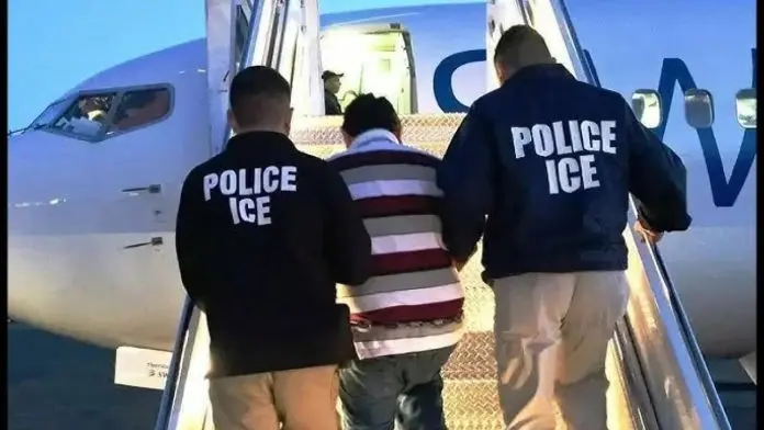 Latino que rescató a una niña de un tiburón en Florida enfrenta posible deportación