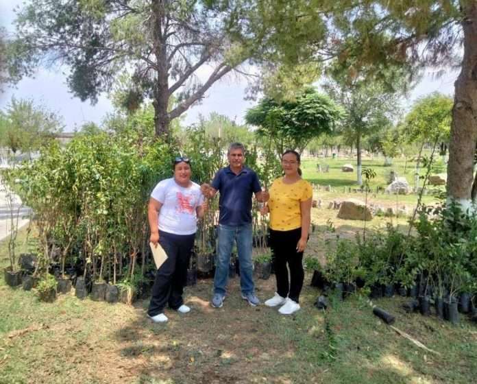 Recibe Castaños donación de 200 árboles