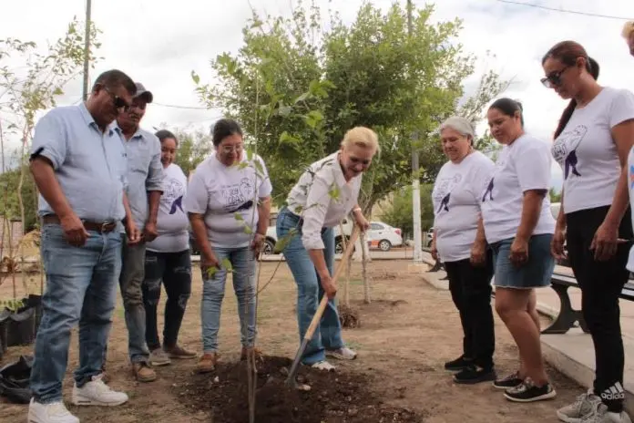 Laura Jiménez impulsa en Rancherías el programa Verde Verde Coahuila con reforestación y entrega de árboles