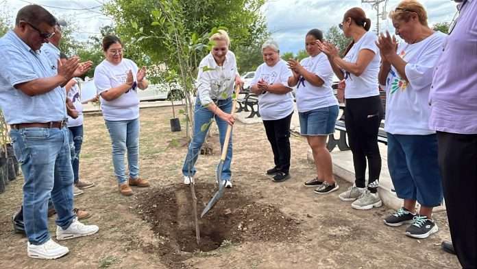 Con apoyo del programa Verde Verde, Múzquiz recibió 600 árboles para reforestar plazas, escuelas y espacios públicos