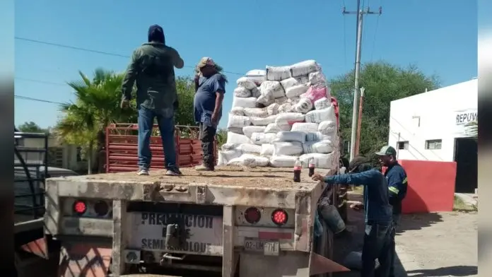 Impulsa Yesica Sifuentes al campo con entrega de pollinaza