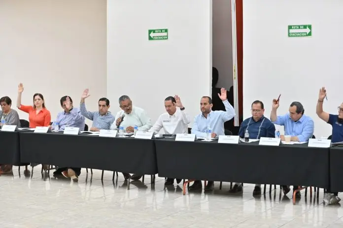 Define COPLADEM plan de obra pública 2025