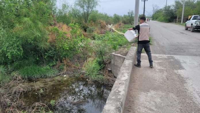 Refuerzan acciones de fumigación en la Carbonífera