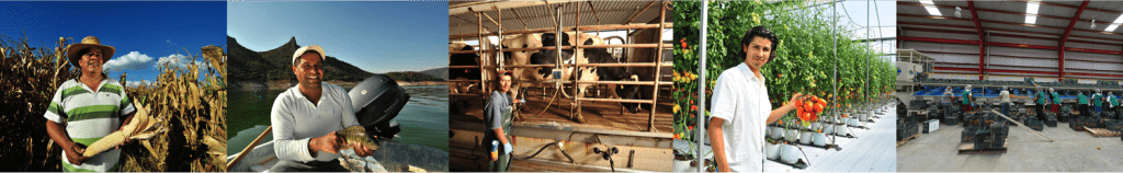FIRA impulsa al campo con apoyos financieros, garantías y subsidios para productores agropecuarios y forestales