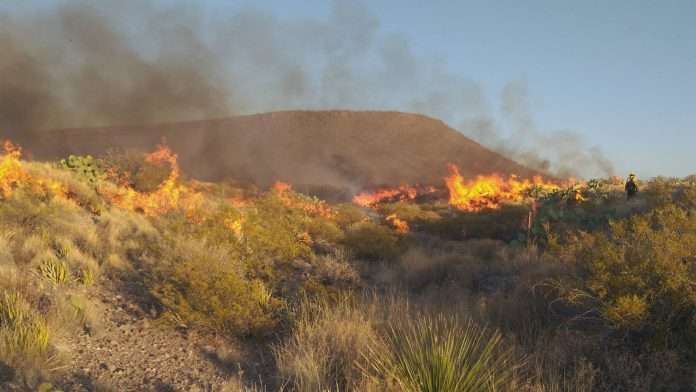 Incendio forestal en el Rancho 