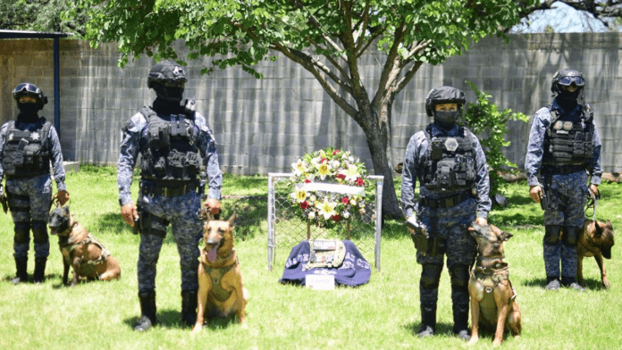 Despiden con homenaje a 'Chato', perro policía que trabajó durante una década en Irapuato