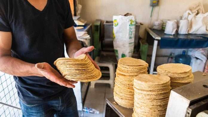 Gobierno invita a tortillerías del país a unirse al Acuerdo Nacional Maíz–Tortilla para reducir precios y fortalecer el campo