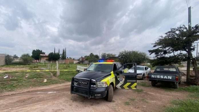 Hallan sin vida a bebé recién nacido en terreno baldío; falleció al ser atacado por perros