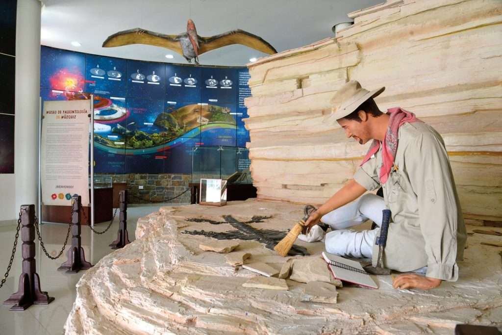 Múzquiz sorprende este verano 2025