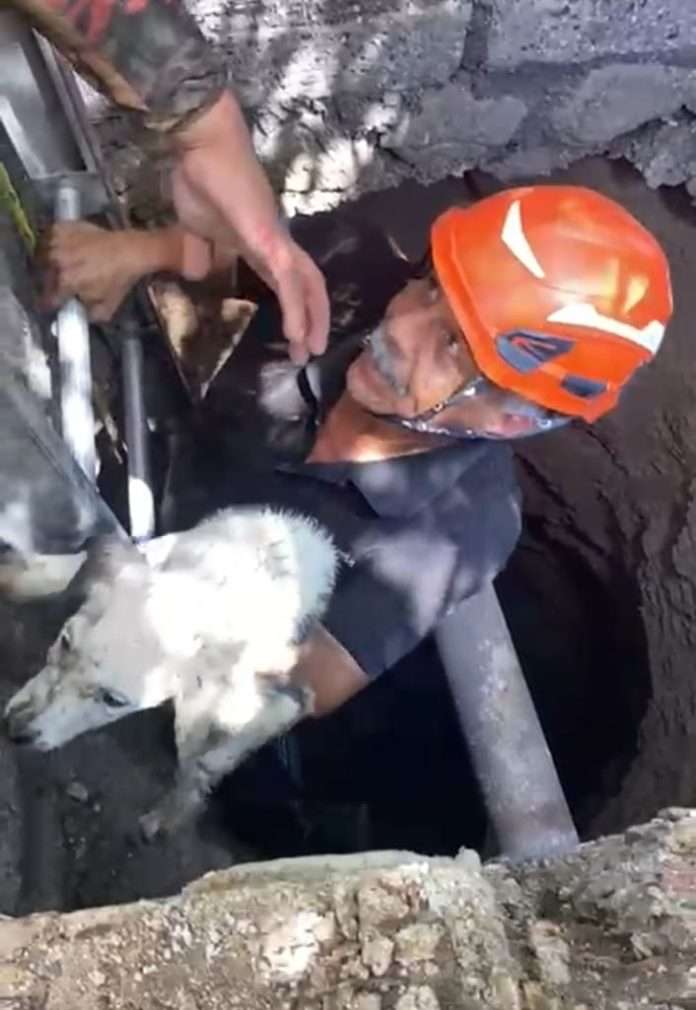 Rescatan un can de un pozo en Sabinas Coahuila los Bomberos