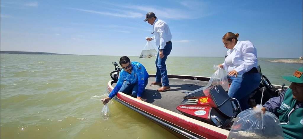 Coahuila fomenta la actividad pesquera con repoblación en presas