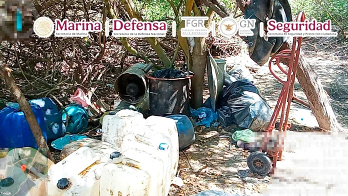 LABORATORIO EN SINALOA