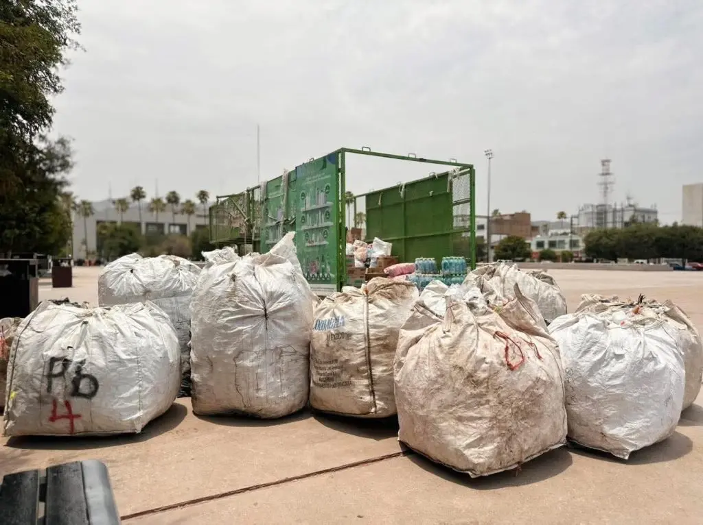 Suman más de mil 260 kilogramos de residuos reciclables recolectados en el año