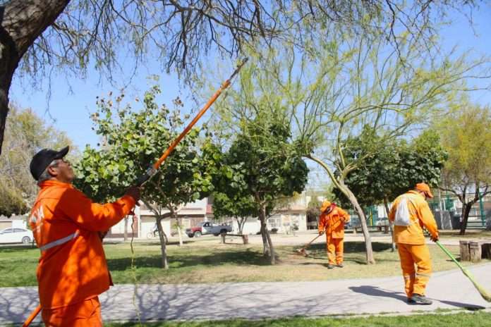 Espacios públicos de Torreón listos para este periodo vacacional