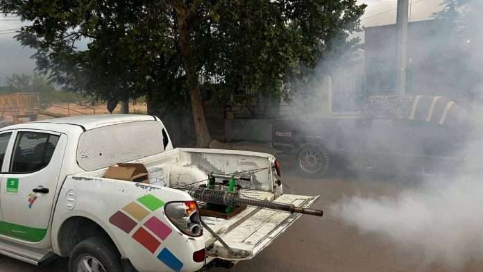 Continua programa de fumigación en Acuña