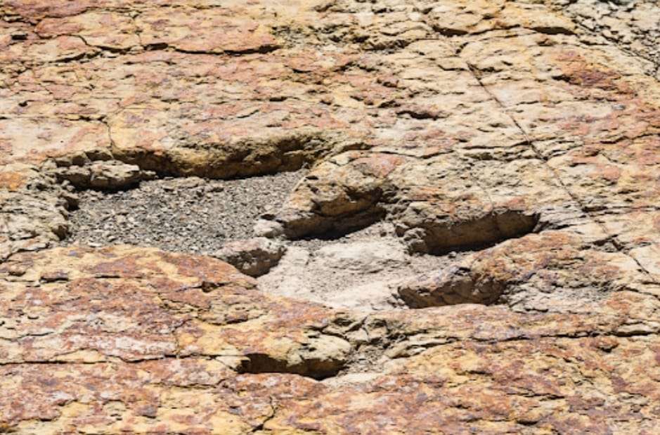 Vive la aventura del mundo de los dinosaurios en General Cepeda