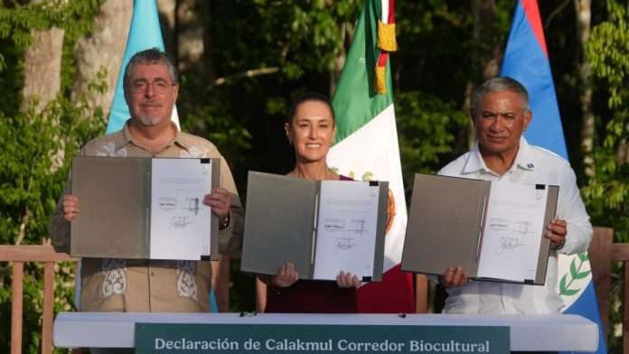 Acuerdo Tren Maya