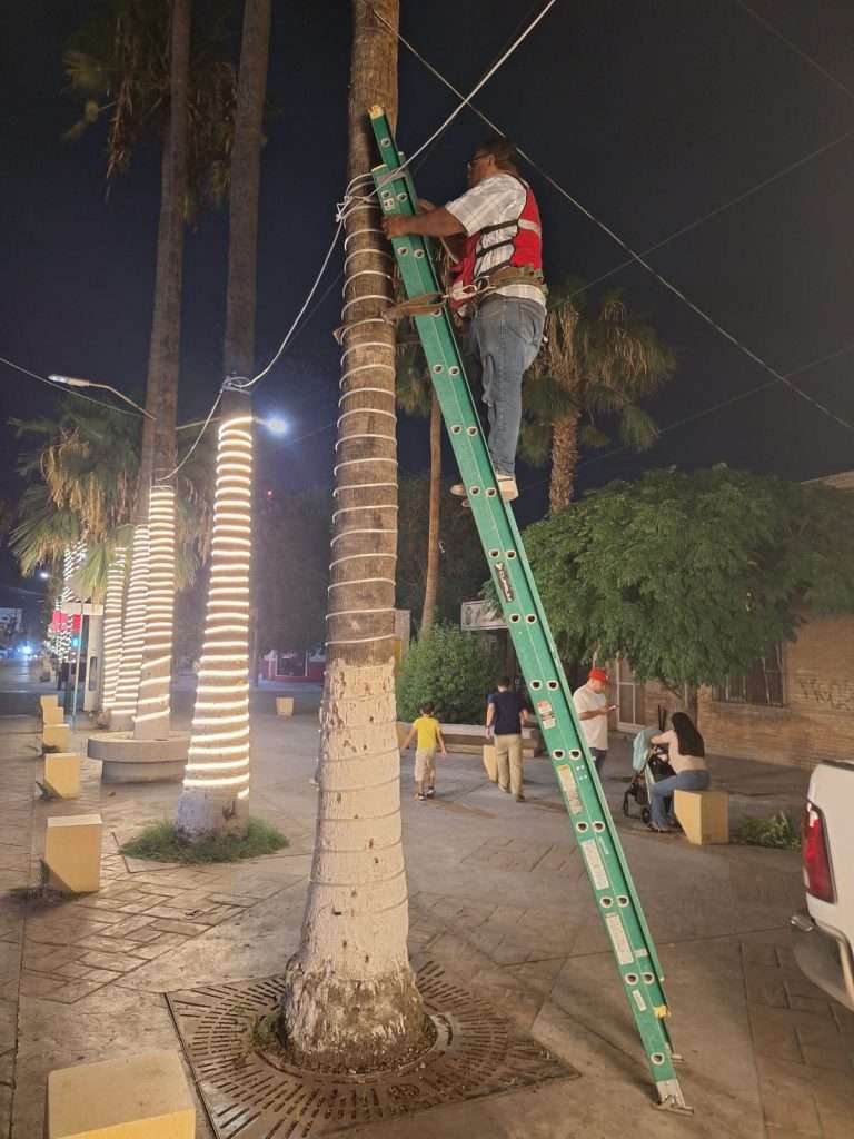 Realizan labores de mantenimiento y ampliación del perímetro de iluminación en el Paseo Morelos