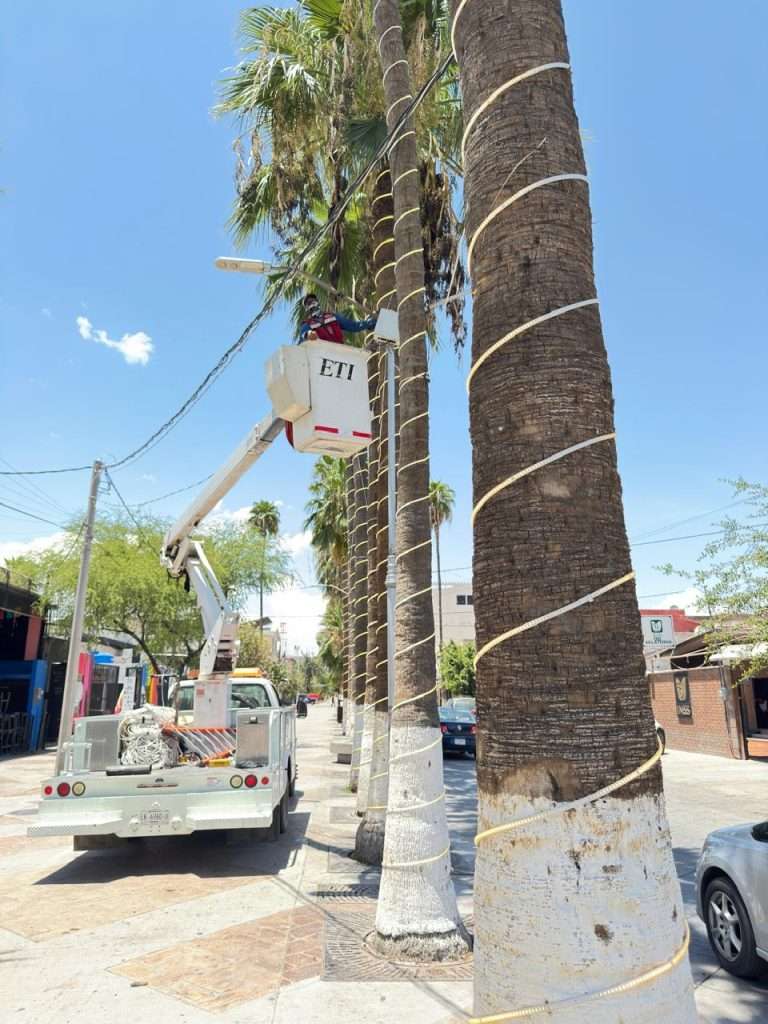 Realizan labores de mantenimiento y ampliación del perímetro de iluminación en el Paseo Morelos