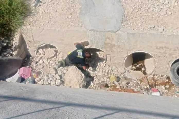 Bomberos rescatan a cachorros en un túnel