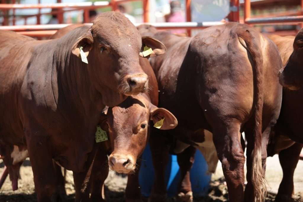 Desarrollo Rural del Gobierno de Coahuila