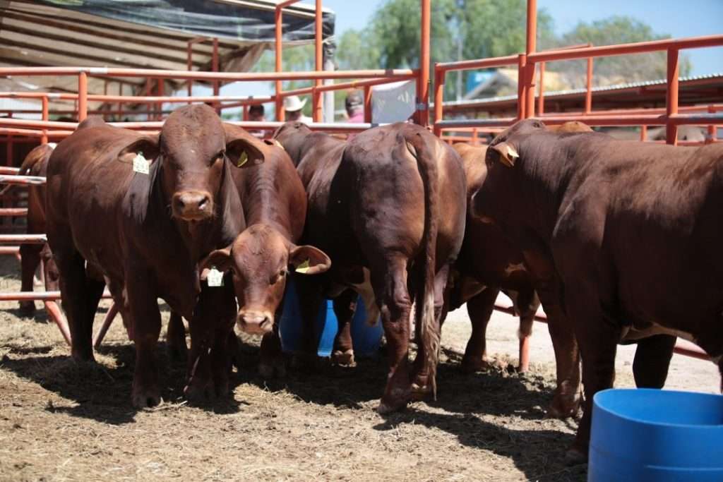 Desarrollo Rural del Gobierno de Coahuila