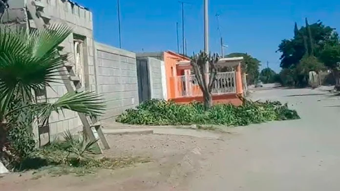 Comunidad de San Alberto