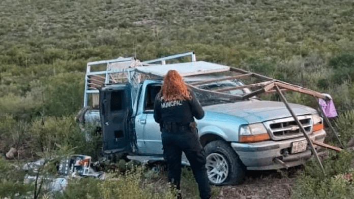 El Palmito con Bermejillo