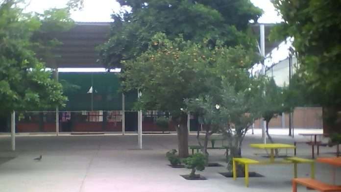 Escuela Primaria