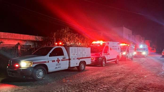 Hombre fue atacado por un perro