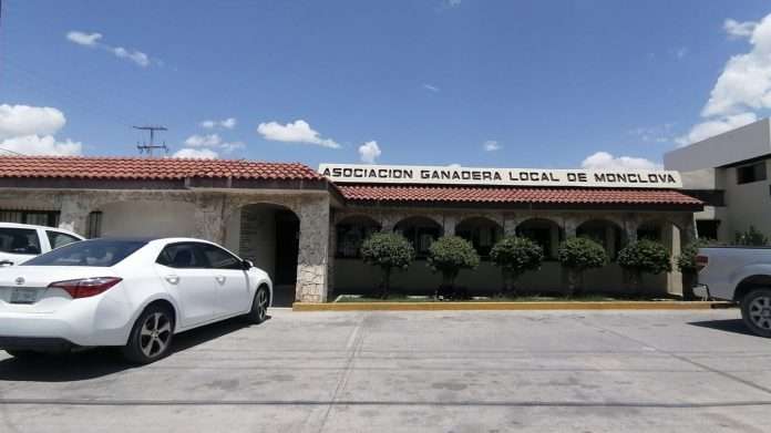 El aseguramiento de 50 cabezas de ganado bovino en Castaños es una medida que fortalece el control pecuario en la entidad, afirmó Luis Gutiérrez Garza, director de Fomento Agropecuario en el Ayuntamiento de Monclova.