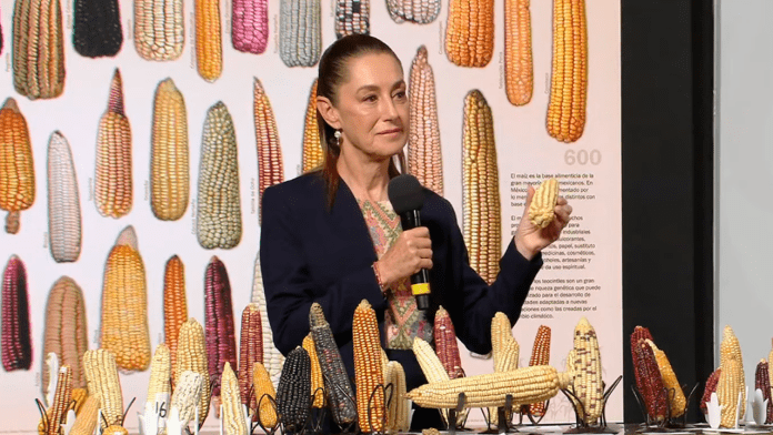 La presidenta Claudia Sheinbaum