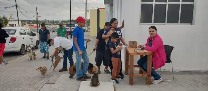 Llegará jornada de atención a mascotas en Altos de Santa Teresa