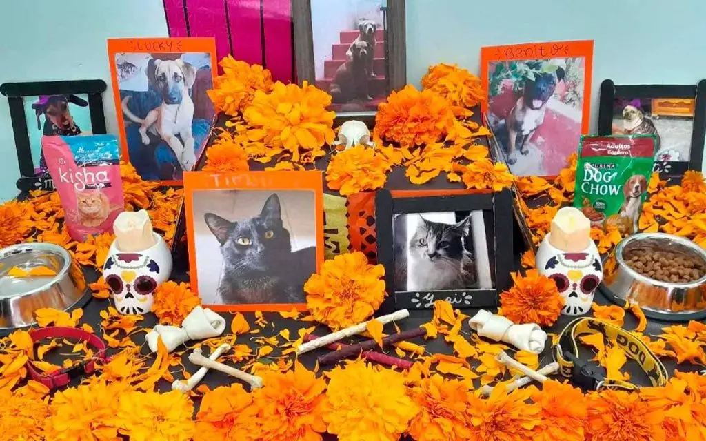 Día de las Mascotas Fallecidas