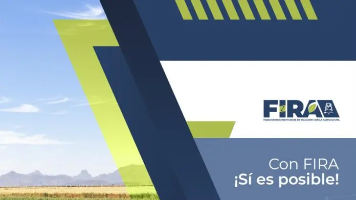 FIRA