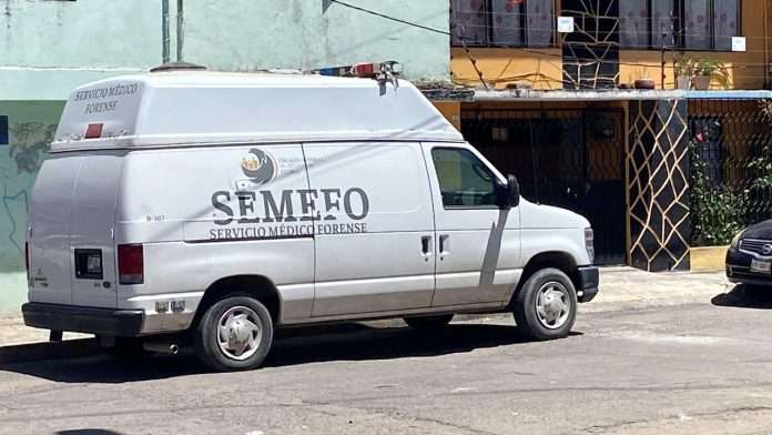 SEMEFO