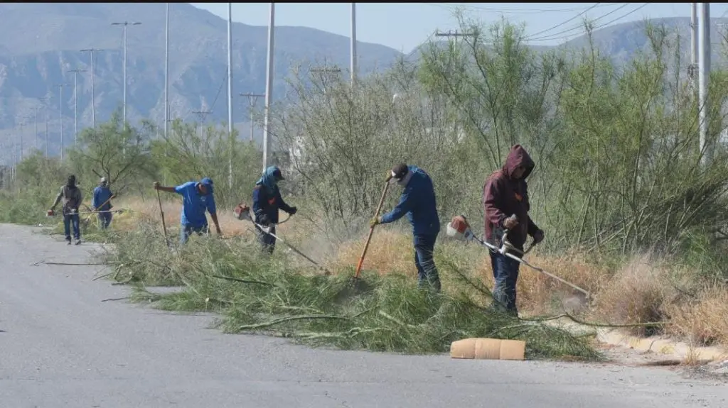 Mejoran la imagen urbana en carretera a Mieleras y bulevares aledaños
