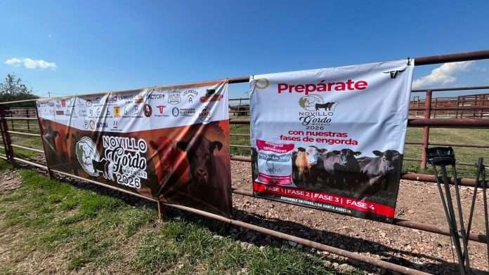 Expoasis Ganadera, Múzquiz, Novillo Gordo, Asociación Ganadera Local, Apolinar Guajardo Falcón, Manolo Jiménez Salinas, Laura Jiménez Gutiérrez, Mujeres Ganaderas de México, MUGAM, ganadería coahuilense, Mejora Genética, turismo rural, economía local, región carbonífera, Coahuila