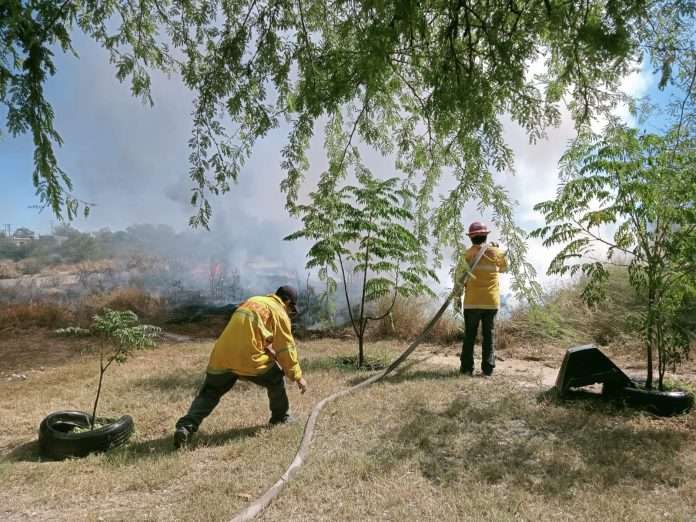 Bomberos y Protección Civil de Múzquiz realizaron una quema controlada de pastizales en la colonia Fonhasol para prevenir incendios ocasionados