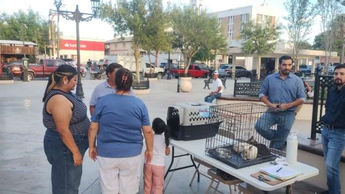 Convoca Unidad Canina a participar en la feria de adopción ‘’huella con amor’’