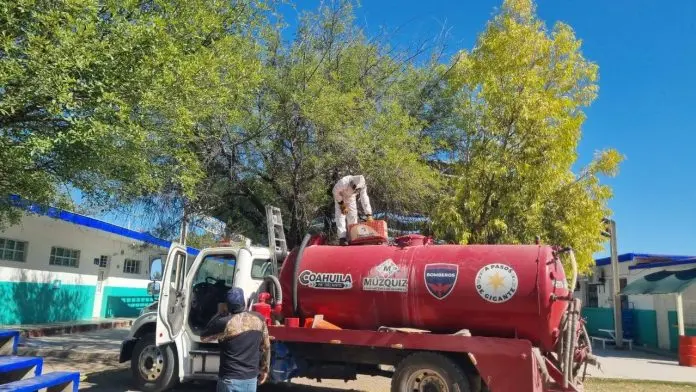 Bomberos de Múzquiz reubicaron un panal de abejas en la escuela Miguel Hidalgo TV